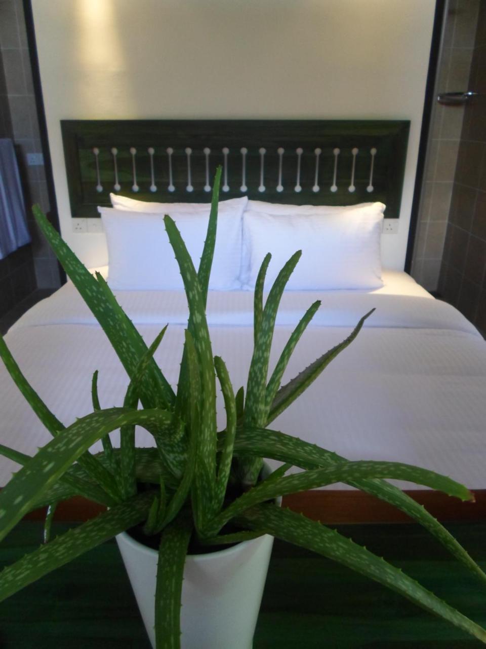 Sennya Resorts Belihuloya Esterno foto